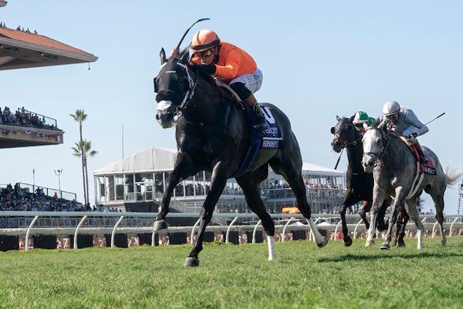 La campeona SHISOSPICY se prepara para el 1351 Turf Sprint