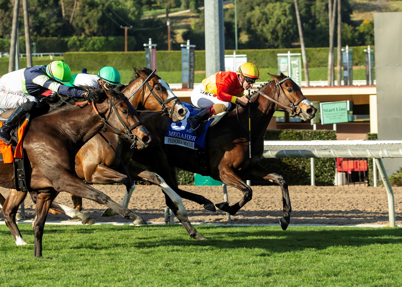 La peruana PRINCESA MOCHE se alza con el Megahertz Stakes