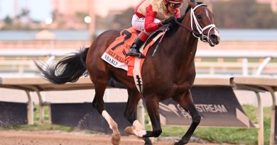 NEARLY demuestra que está para más en el Holy Bull