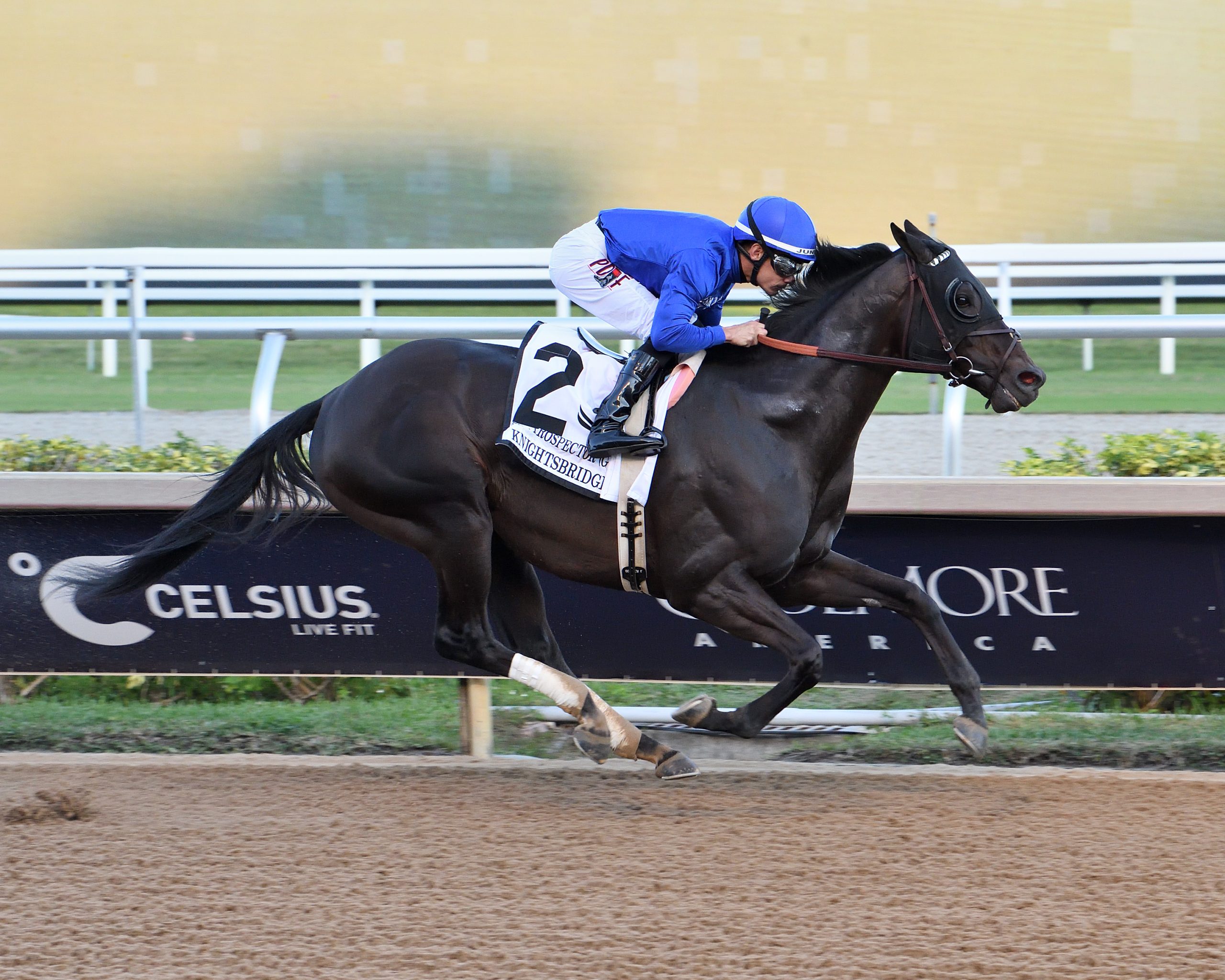 KNIGHTBRIDGES destacada entre los nominados al Fred Hooper