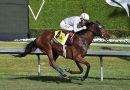 LAYABOUT muestra el camino en William L McKnight (G3)