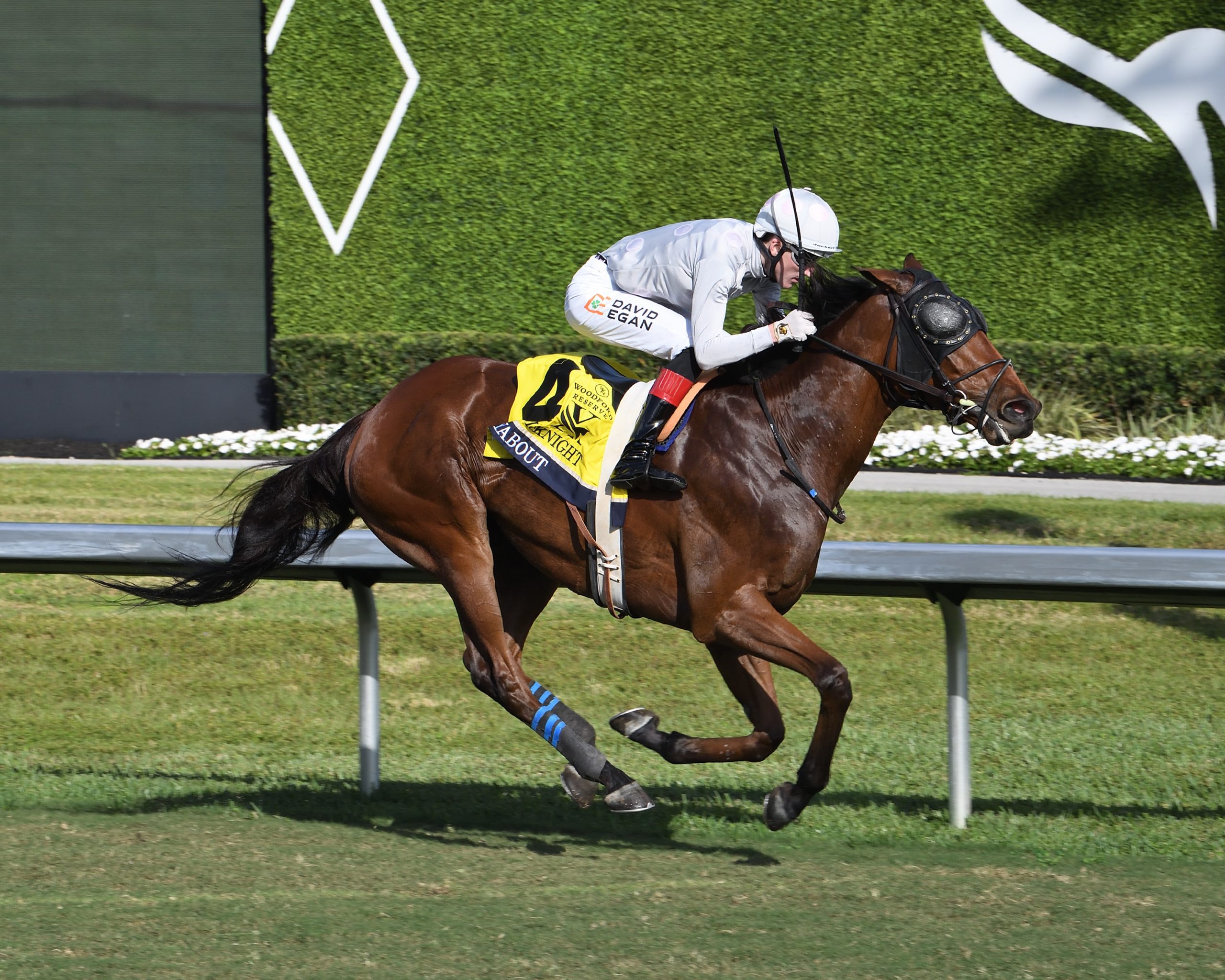 LAYABOUT muestra el camino en William L McKnight (G3)