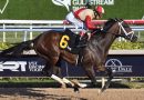 NEARLY apunta al Holy Bull tras ganar en Gulfstream Park
