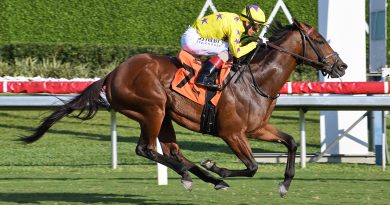 El propietario de ONE STRIPE espera que la magia de la televisión le traiga suerte en la Pegasus World Cup Turf El propietario de ONE STRIPE espera que la magia de la televisión le traiga suerte en la Pegasus World Cup Turf