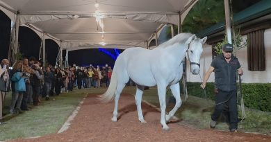 Todo un éxito la Presentación 2026 del Pleasant Acres Stallions