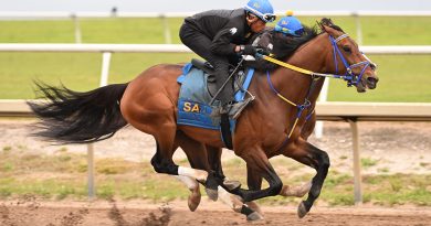 Los contendientes de la jornada de las Pegasus World Cup entrenan el viernes