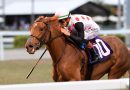 SOUPER ZONDA cumple con su cometido en la Sunshine Filly & Mare Turf