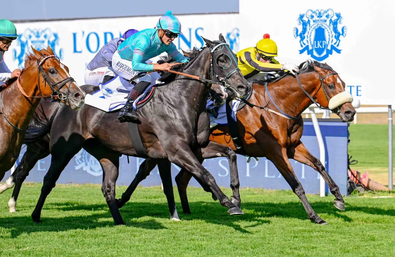 THE REAL PRINCE, WISH LIST y KINGDUNDEE clasifican a las Breeders´ Cup desde Sudáfrica