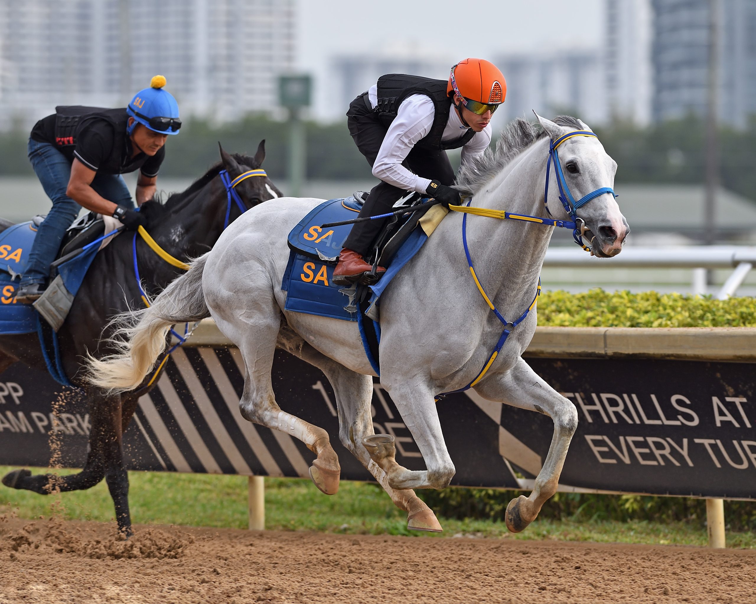DISCO TIME es el favorito en la Pegasus World Cup