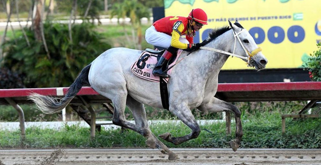 Impresionante victoria para CASTA DIVA en el Clásico Día De Reyes