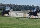 Triplete del entrenador Óscar Anaya en la primera jornada del año en el Gran Hipódromo de Andalucía