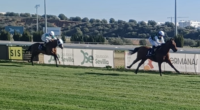 Triplete del entrenador Óscar Anaya en la primera jornada del año en el Gran Hipódromo de Andalucía
