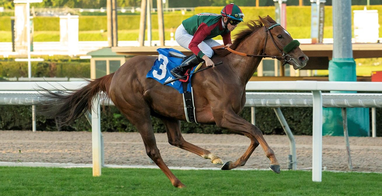 GRAND SLAM SMILE de punta a punta en el Sunshine Millions Filly & Mare Turf Sprint