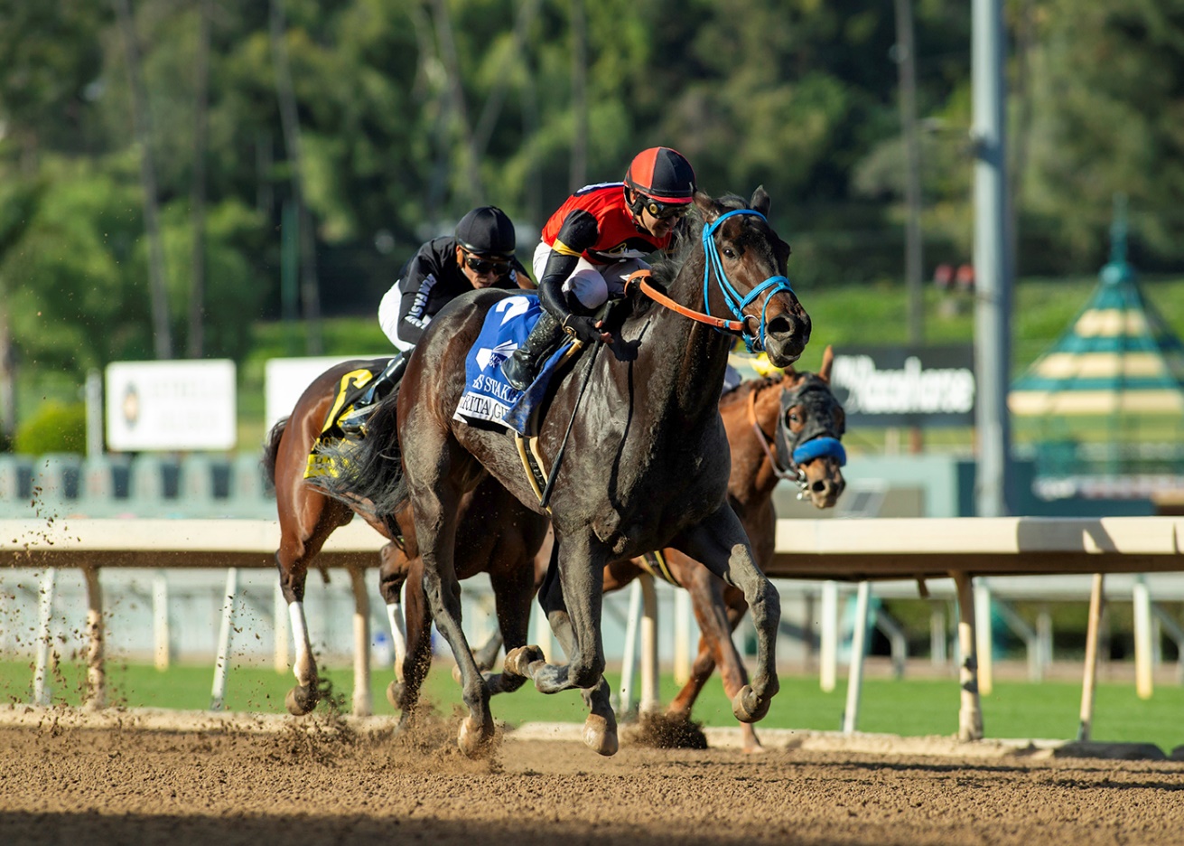 MARGARITA GIRL se suma a la fiesta de Glatt  al ganar Las Flores Stakes