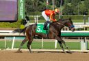 EXPLORA cómoda en el Santa Ynez Stakes