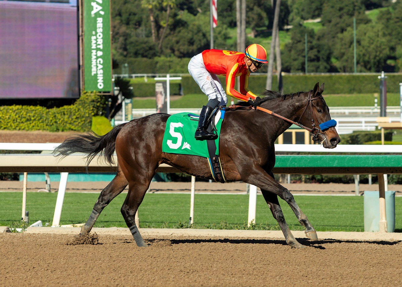 EXPLORA cómoda en el Santa Ynez Stakes