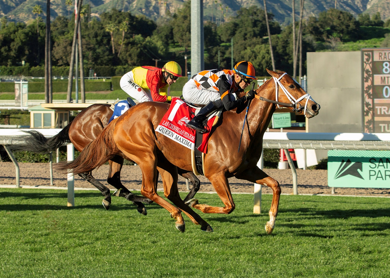 QUEEN MAXIMA gana Las Cienagas Stakes. La peruana PRINCESA MOCHE segunda