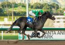 STAR THE RIDE gana el California Cup Derby en su «segundo debut»