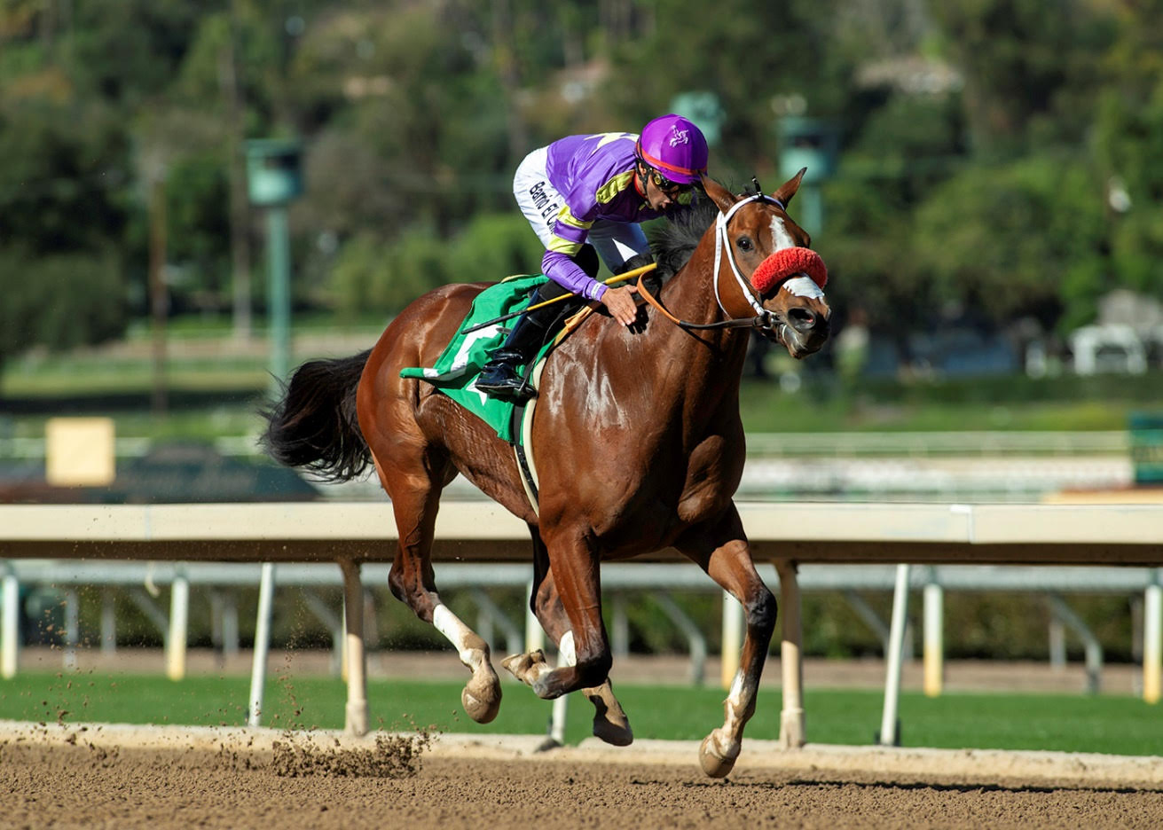 MAN O ROSE responde en la California Cup Sprint