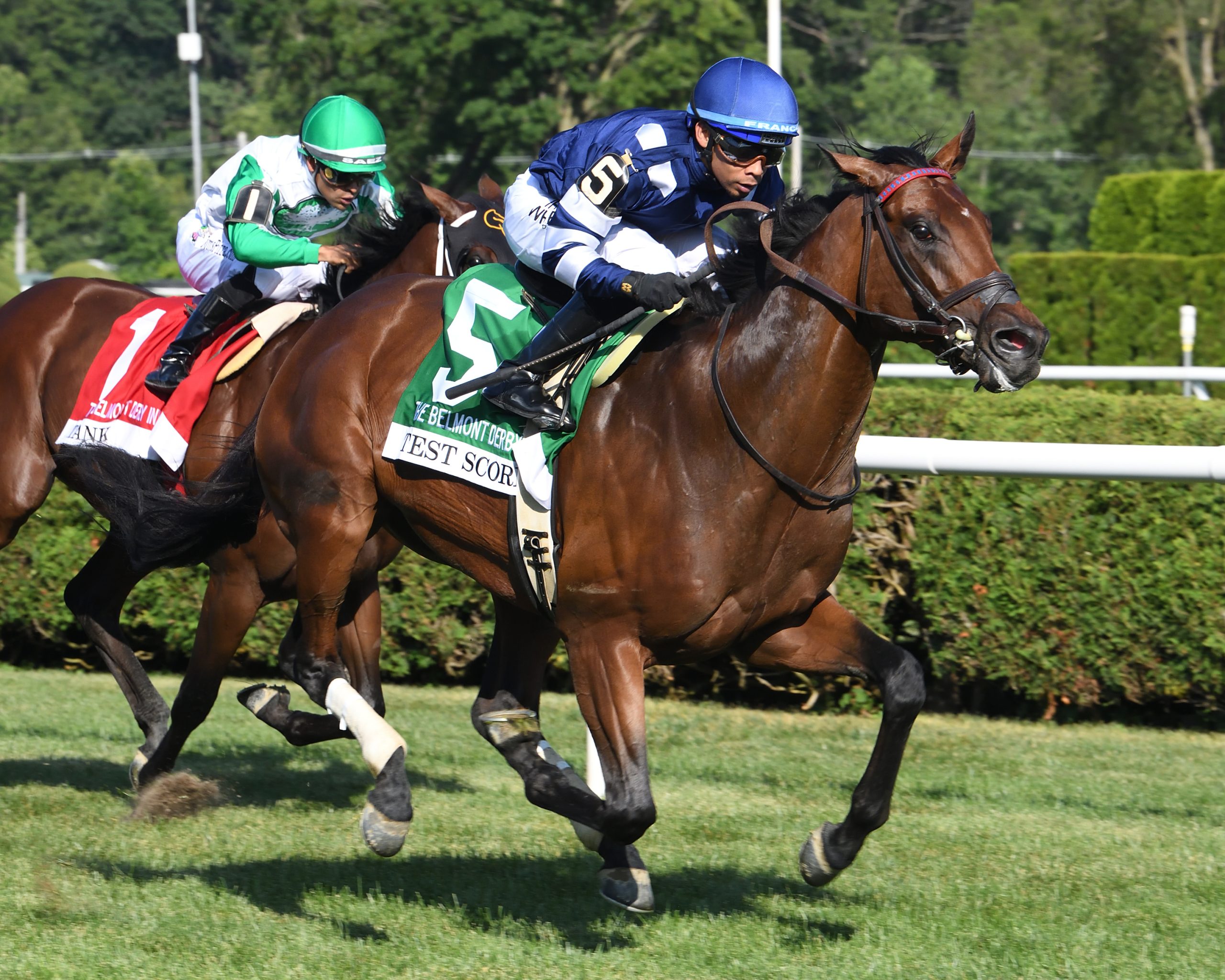 Grupo de primer nivel competirá por la Pegasus Turf