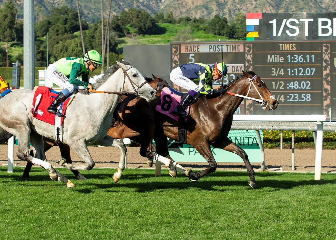 VODKA VODKA no falla en el Unusual Heat Turf Classic