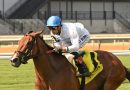 Pegasus World Cup Filly & Mare reúne a siete ganadoras de grado