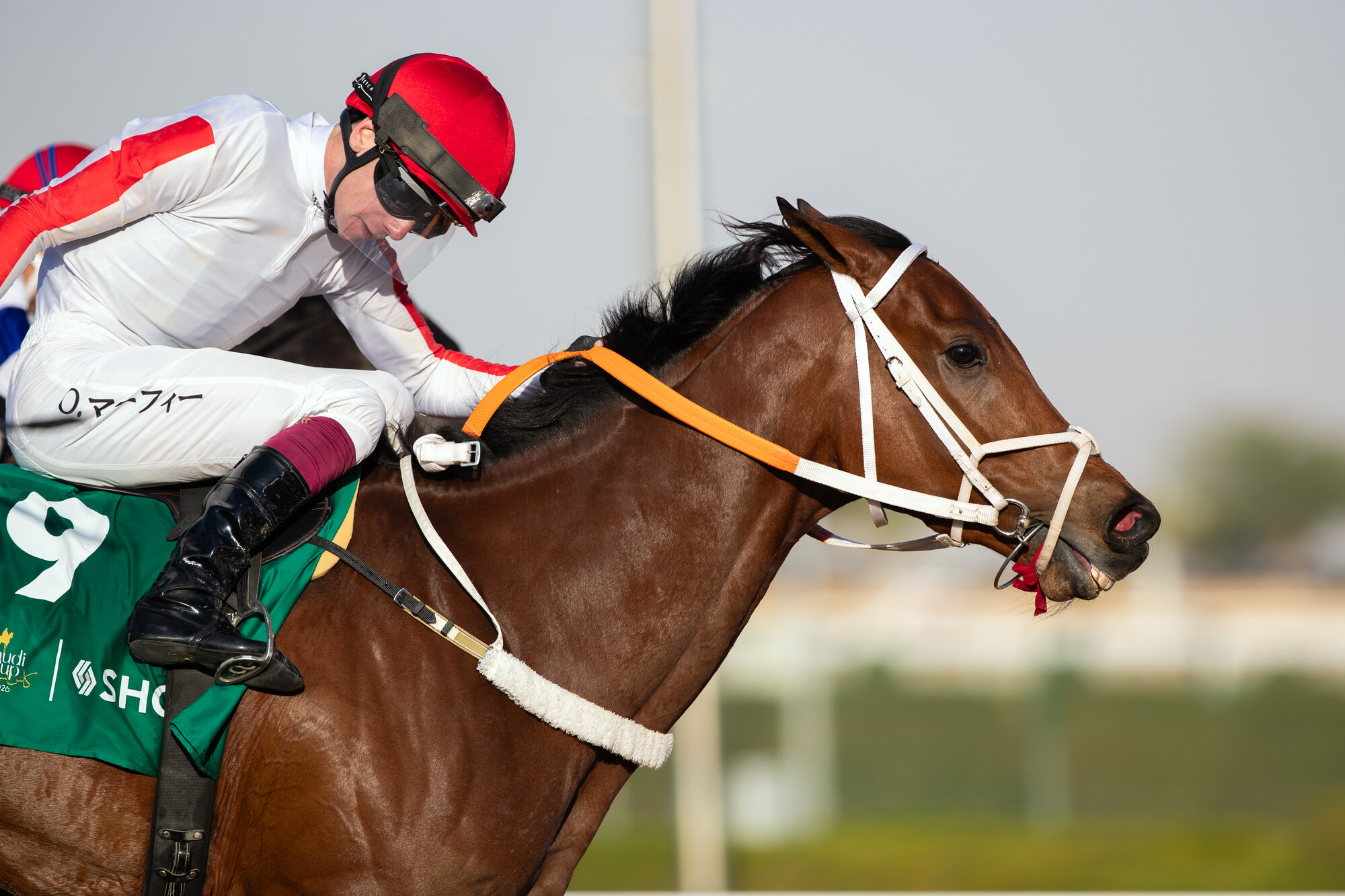 MICHAEL SCHOFIELD y Oisin Murphy brillan en la Tuwaiq Cup