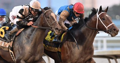 COMMANDMENT pasa la prueba de los 4 codos en el Fountain of Youth