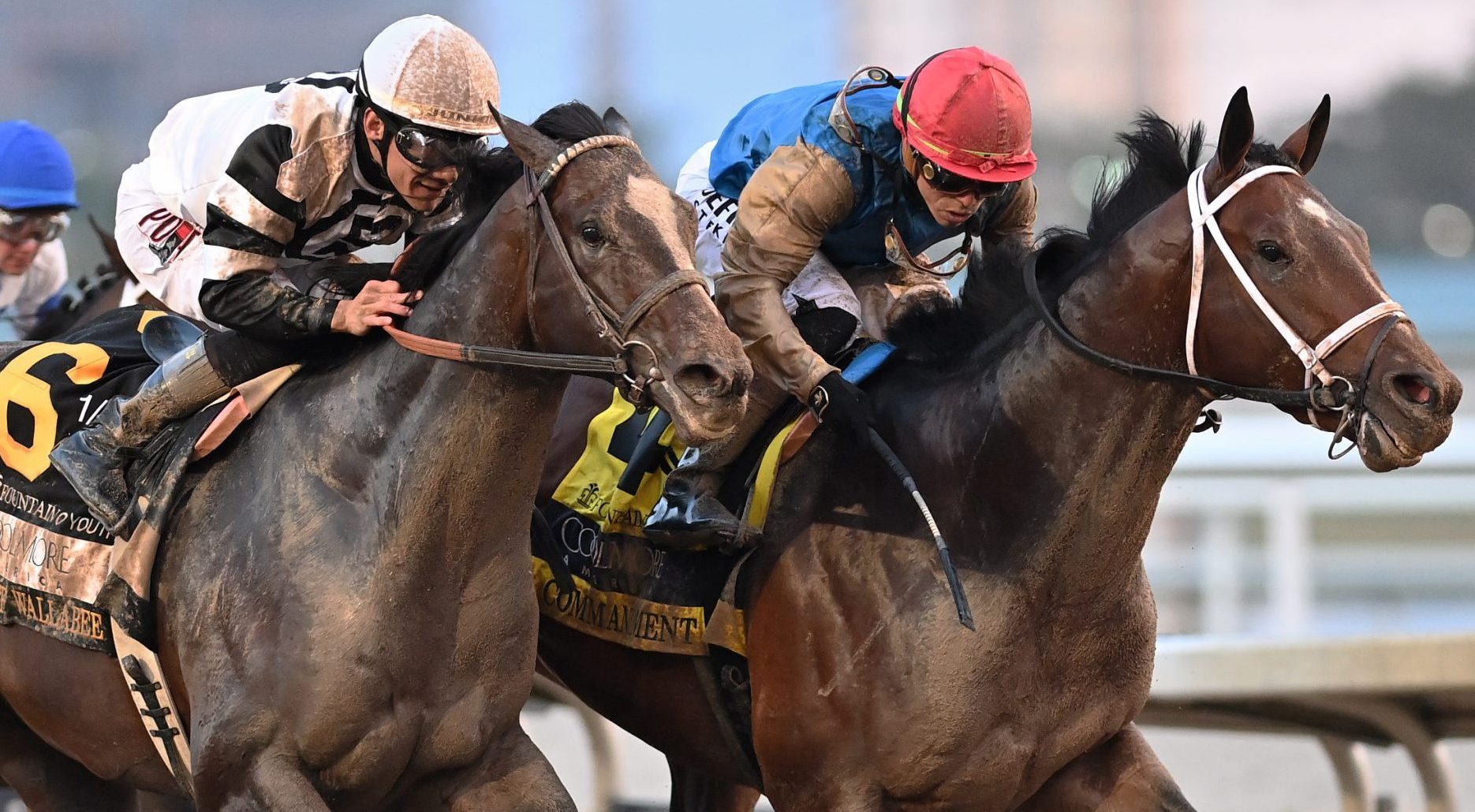 COMMANDMENT pasa la prueba de los 4 codos en el Fountain of Youth