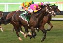 GRAND SONATA gana el Mac Diarmida en el brinco final