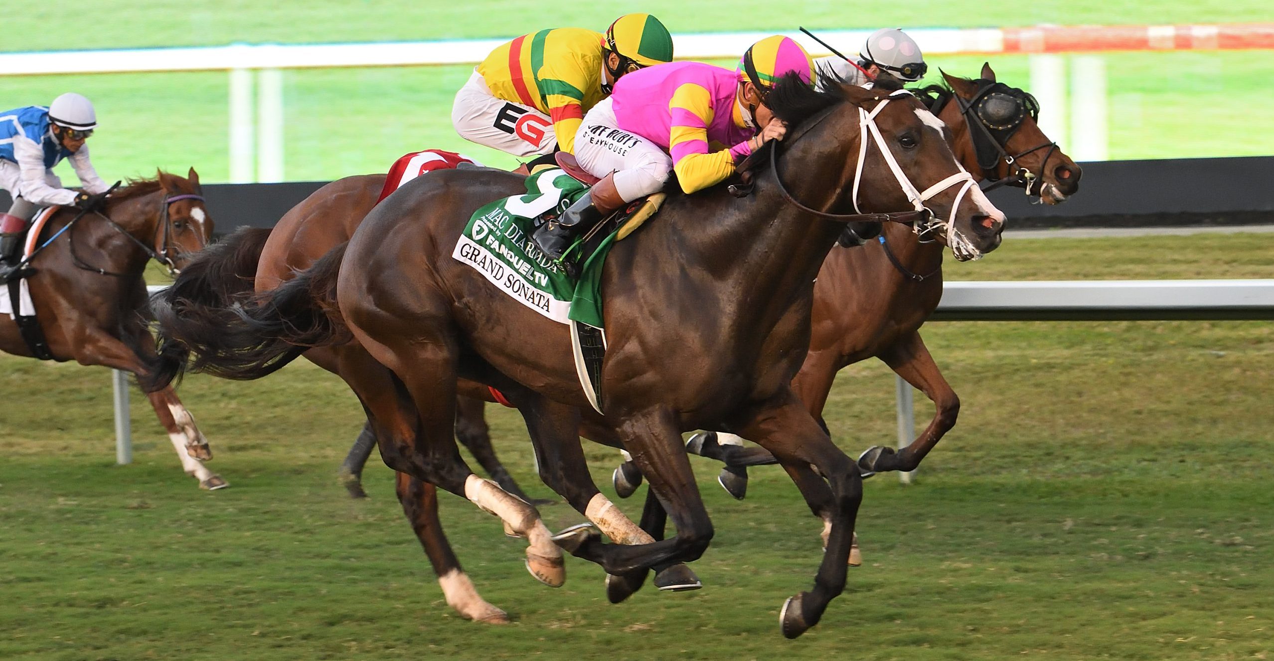 GRAND SONATA gana el Mac Diarmida en el brinco final