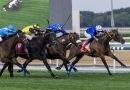 PIANA sorprende en las Jumeirah 1000 Guineas. GELINOTTE cuarta
