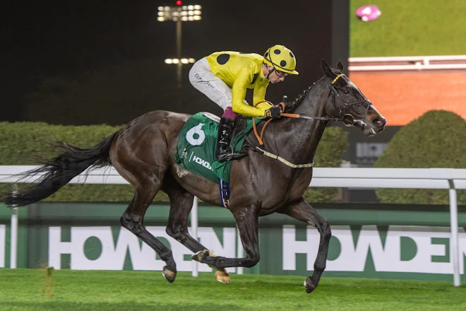 ROYAL CHAMPION prueba su clase en el Neom Turf Cup