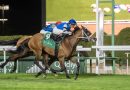 REEF RUNNER e Irad Ortíz Jr. se alzan con el 1351 Turf Sprint