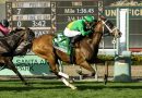 El británico MONDEGO con Jaramillo gana el San Marcos Stakes