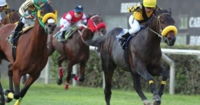 EL JOCKEY CLUB DEL PERÚ NOMINA A SUS PRIMEROS 2 REPRESENTANTES PARA COMPETIR EN EL LATINO 2026