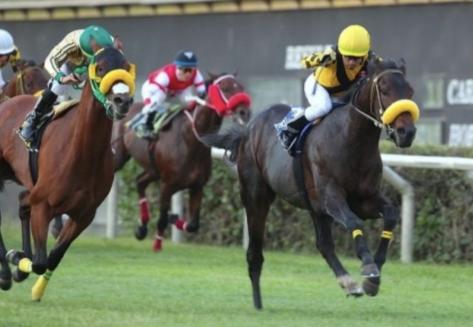 EL JOCKEY CLUB DEL PERÚ NOMINA A SUS PRIMEROS 2 REPRESENTANTES PARA COMPETIR EN EL LATINO 2026