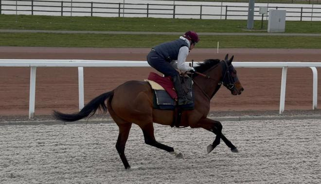 IRADIE será el primer belga que participará en la noche de la Saudi Cup
