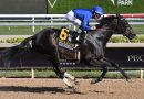 KNIGHTSBRIDGE favorito para la Gulfstream Park Mile