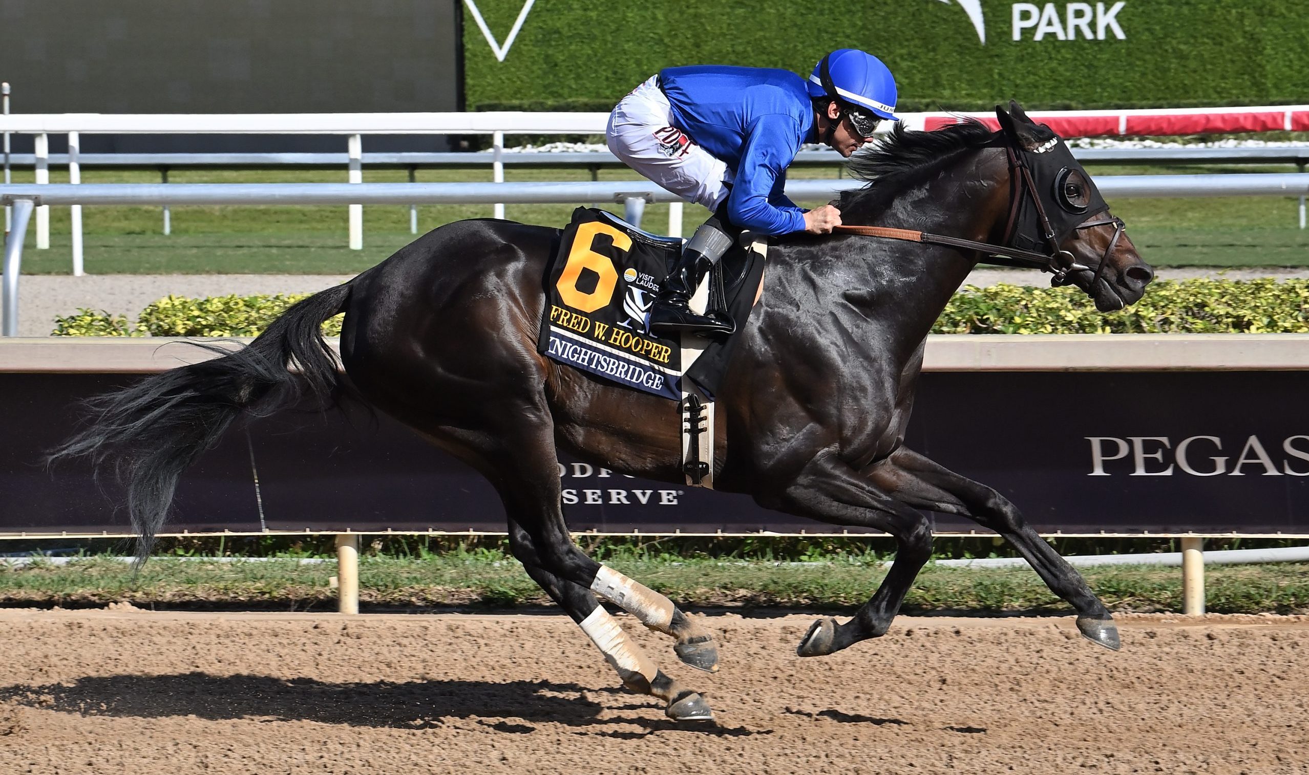 KNIGHTSBRIDGE favorito para la Gulfstream Park Mile