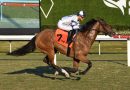 Castellano corona un día de cuatro victorias en la Ladies Turf Sprint