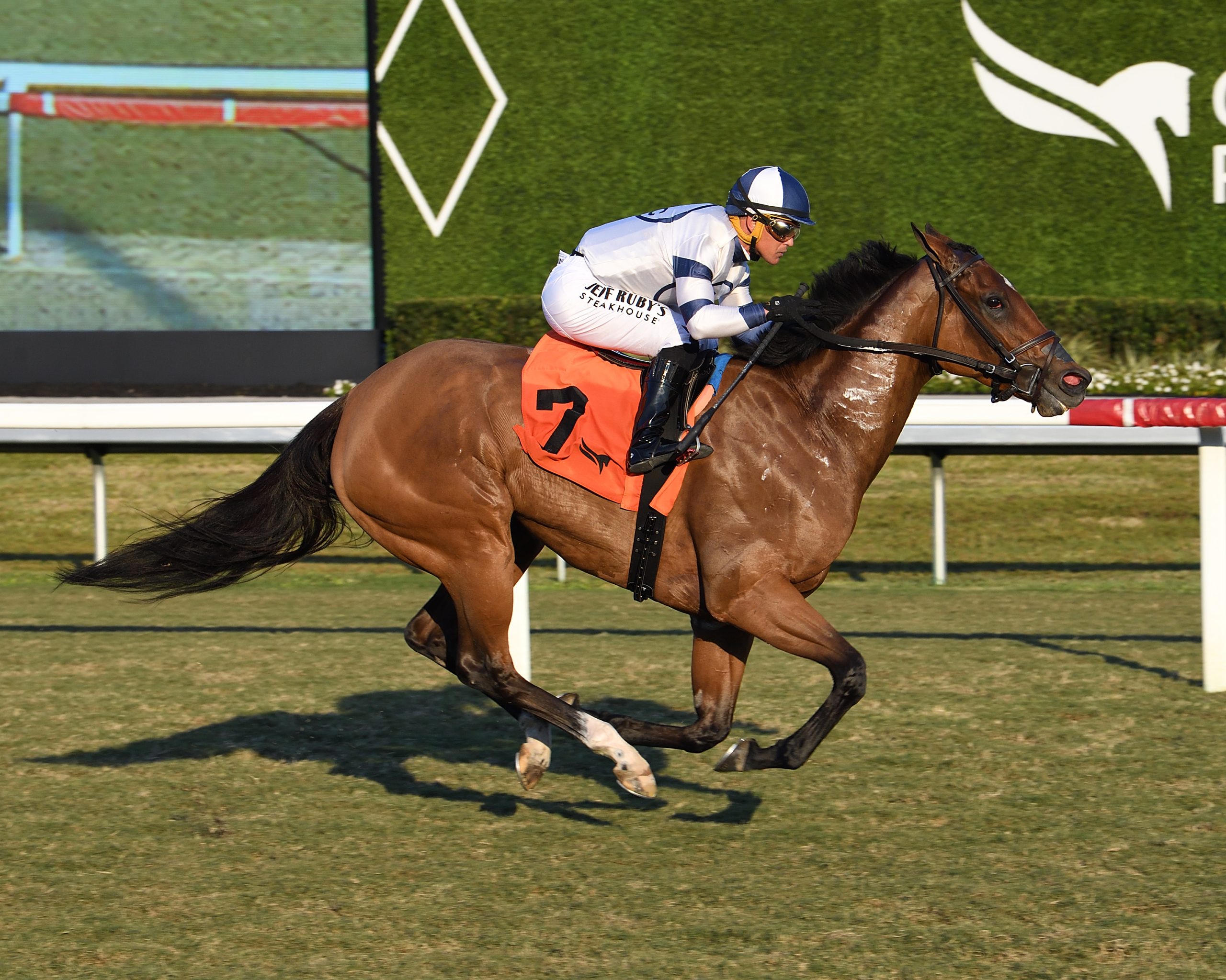 Castellano corona un día de cuatro victorias en la Ladies Turf Sprint