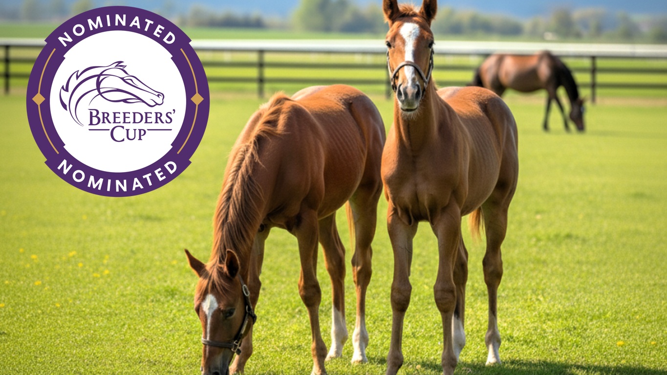 El 28 de febrero es la fecha de cierre para las Nominaciones Tardías de las Breeders´Cup