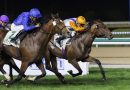 Los jockeys estrellas Moreira y Murphy regresan a Meydan