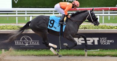 Conexiones «en espera» con la campeona SHISOSPICY