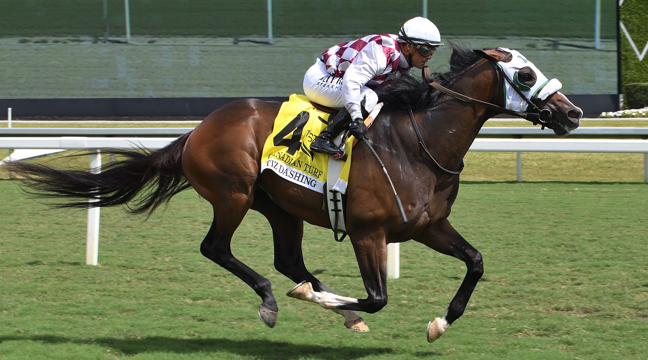 TIZ DASHING se escapa al final del Canadian Turf