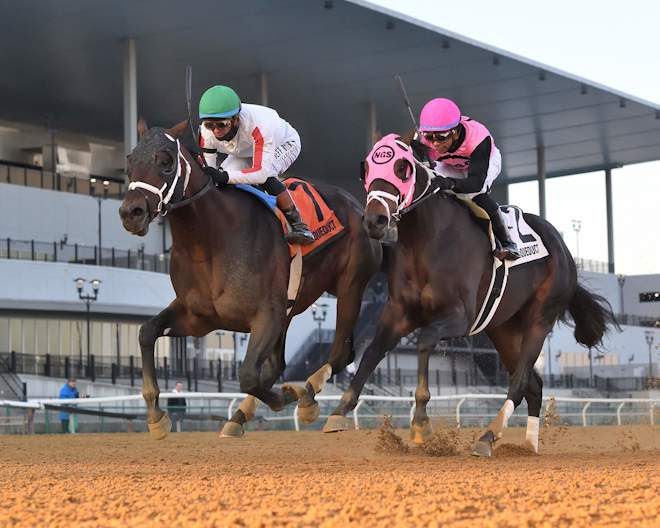 Cox espera que su cuarta sea la vencida con Bishops Bay en la Saudi Cup