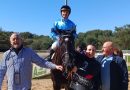 CHOLO con Nicolás de Julián gana el Memorial “Javier Piñas Hafner” en el Gran Hipódromo de Andalucía
