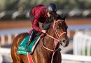 Baffert listo para perseguir al “unicornio” FOREVER YOUNG