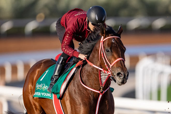Baffert listo para perseguir al “unicornio” FOREVER YOUNG